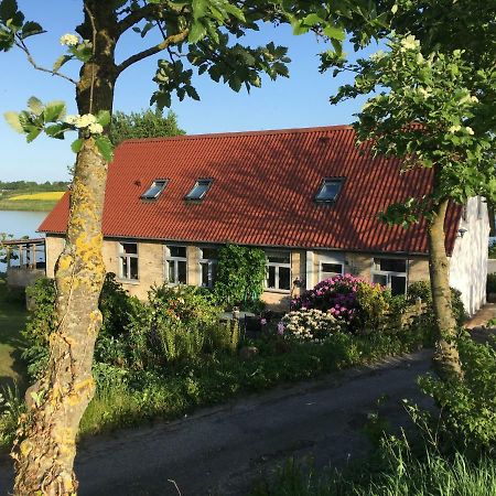Bogebjerggard Bed & Breakfast Sonderborg Ngoại thất bức ảnh