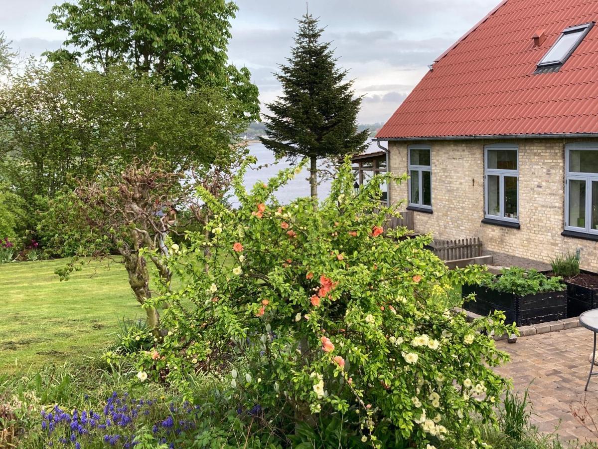 Bogebjerggard Bed & Breakfast Sonderborg Ngoại thất bức ảnh