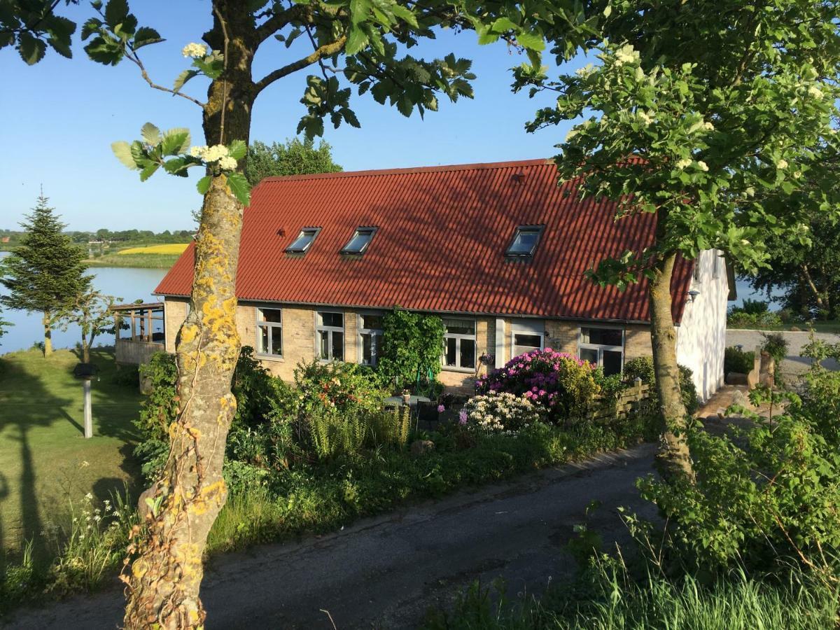 Bogebjerggard Bed & Breakfast Sonderborg Ngoại thất bức ảnh